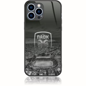 Επίσημη Θήκη ΠΑΕ ΠΑΟΚ – Σχέδιο PAOK010